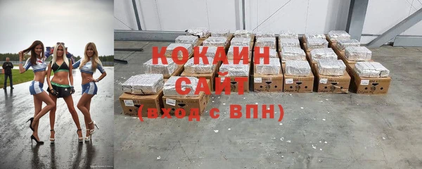 индика Алексеевка