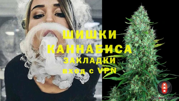 индика Алексеевка